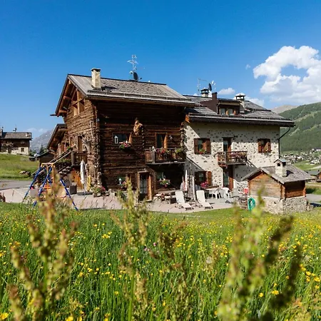 Mistral 公寓 利维尼奥